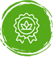 comapny facts, a & Y company